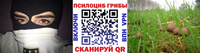 Галлюциногенные грибы Psilocybine cubensis  наркота  Дно 